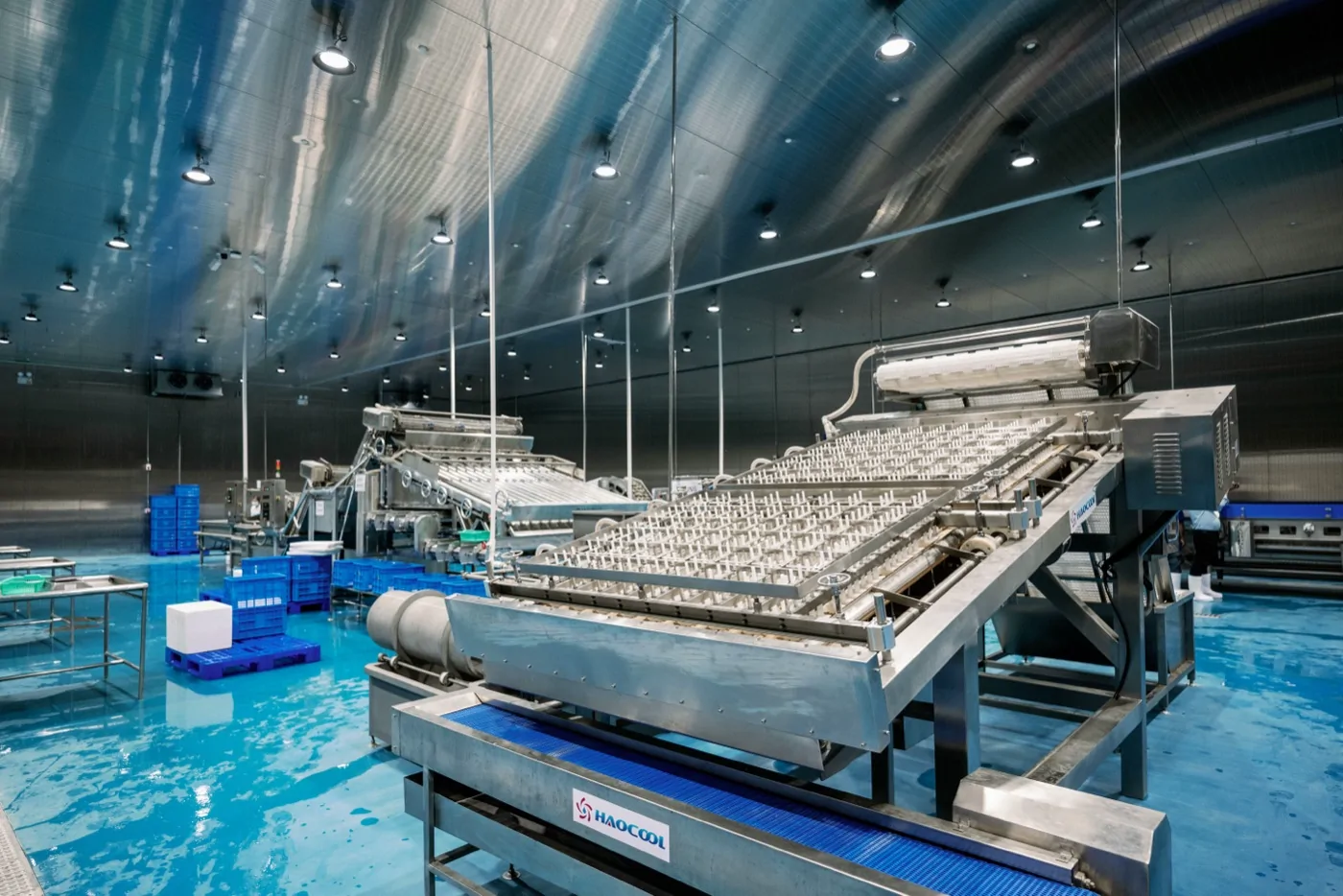 Stainless IQF processing equipment