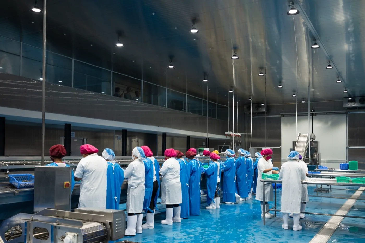The processing hall with workers on the line